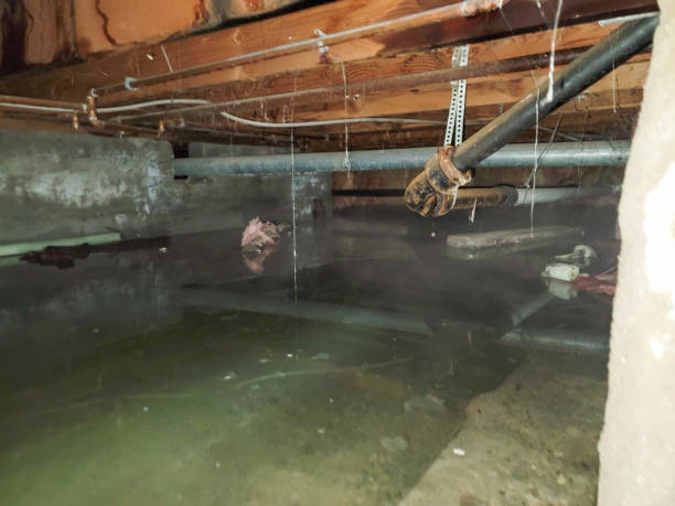 Best Commercial water damage restoration  in Dillonvale, OH