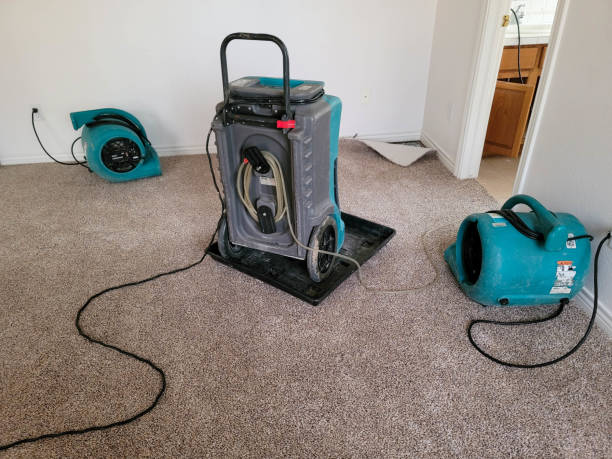 Best 24-hour water damage restoration  in Dillonvale, OH