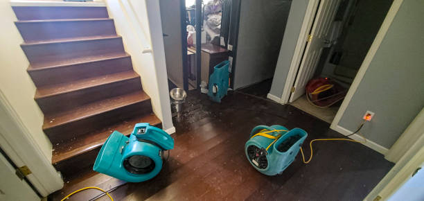 Best Water damage contractors near me  in Dillonvale, OH