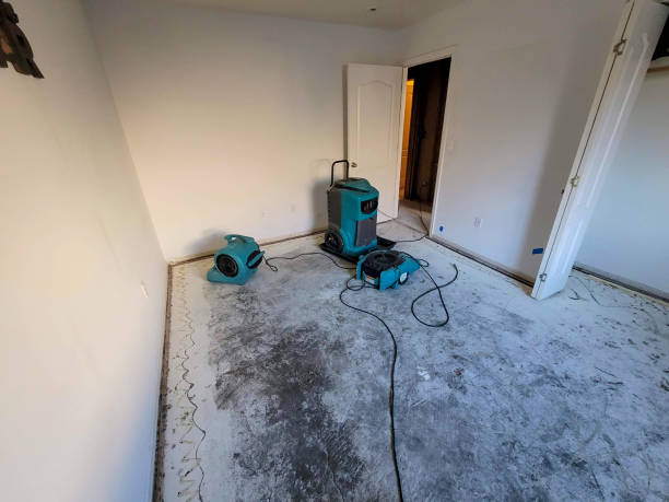 Best Water damage restoration near me  in Dillonvale, OH