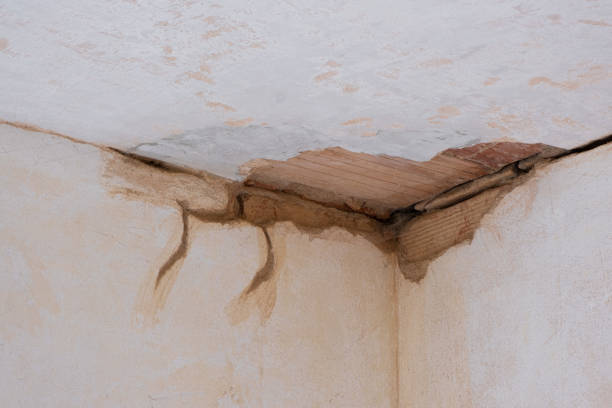 Carpet water damage restoration in Dillonvale, OH