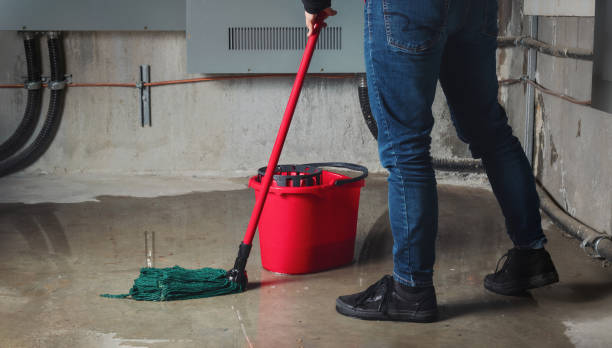 Water damage restoration insurance claims in Dillonvale, OH