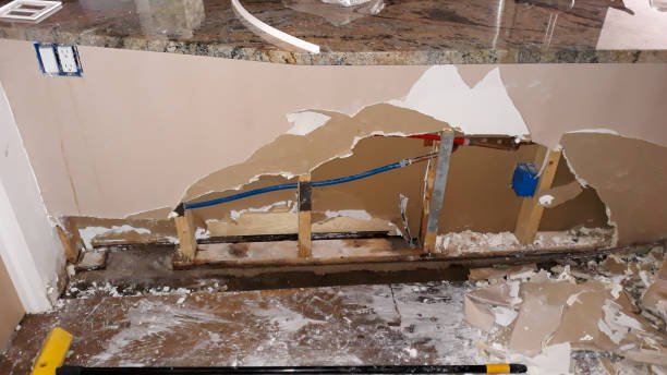 Best Flooded house restoration  in Dillonvale, OH