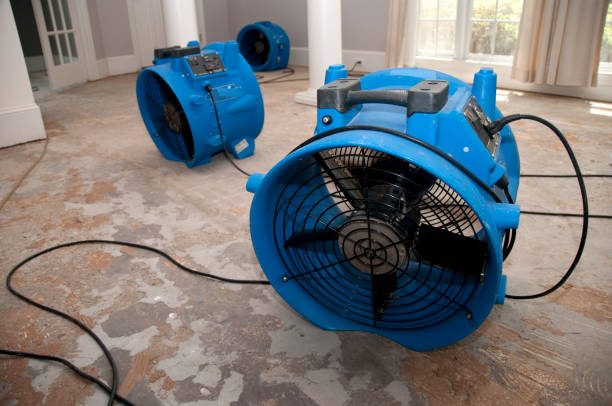 Best Flood damage cleanup  in Dillonvale, OH