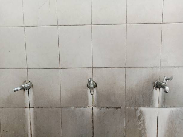 Best Local water damage restoration  in Dillonvale, OH