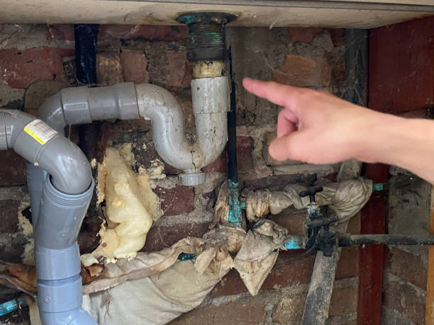 Best Flood damage cleanup  in Dillonvale, OH