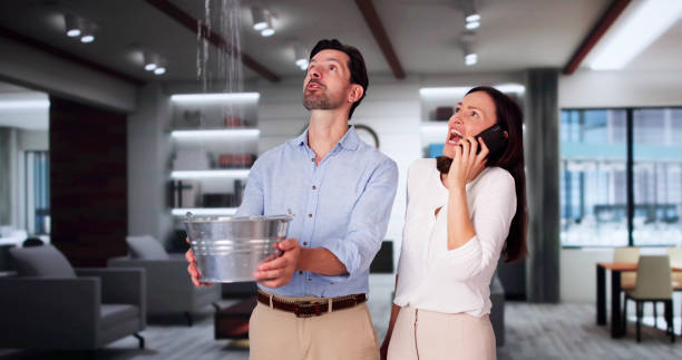 Best 24/7 water damage repair  in Dillonvale, OH