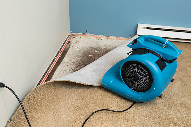 Best Sewage cleanup and water damage restoration  in Dillonvale, OH